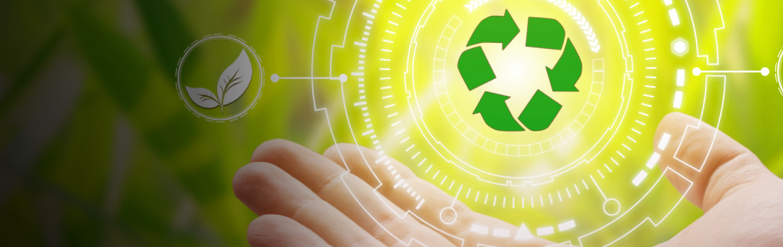 economía circular